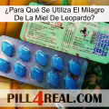 ¿Para Qué Se Utiliza El Milagro De La Miel De Leopardo new02